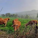 Bed and breakfast La Petite Taupe - D'hotes