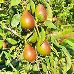 La Petite Taupe - D'hotes Bed and breakfast 3*