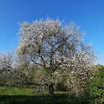 La Petite Taupe - D'hotes