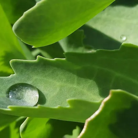 Nocleg ze śniadaniem La Petite Taupe - D'hotes