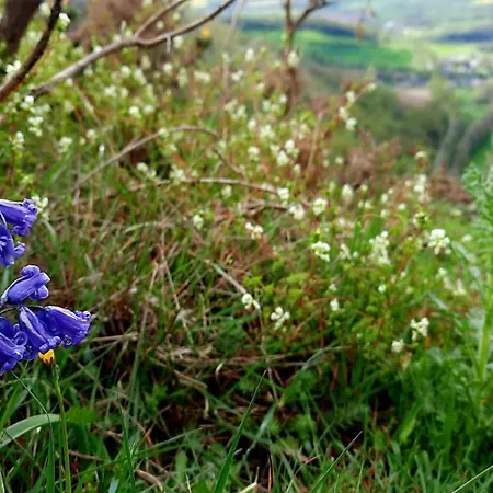 La Petite Taupe - D'hotes Saint-Omer (Calvados)