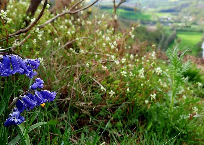 La Petite Taupe - D'hotes Saint-Omer (Calvados)