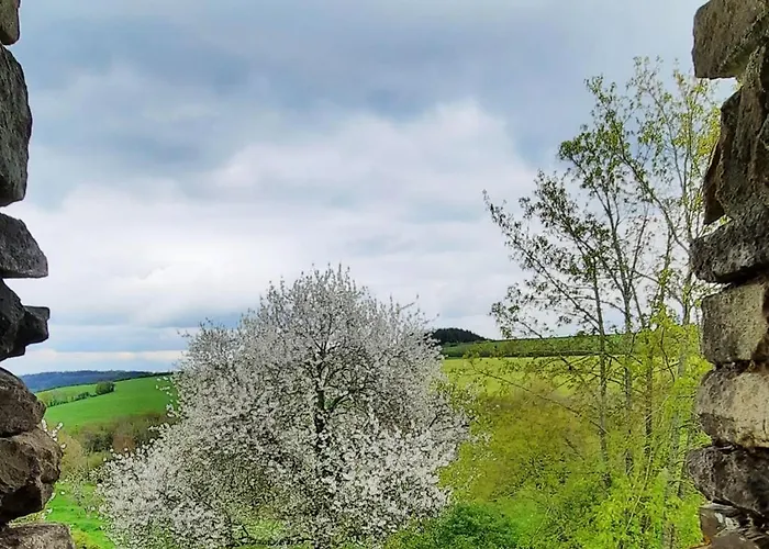 La Petite Taupe - D'hotes