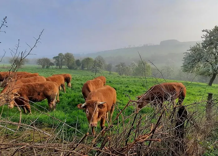 Bed & Breakfast La Petite Taupe - D'hotes