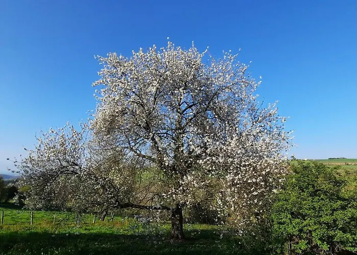La Petite Taupe - D'hotes